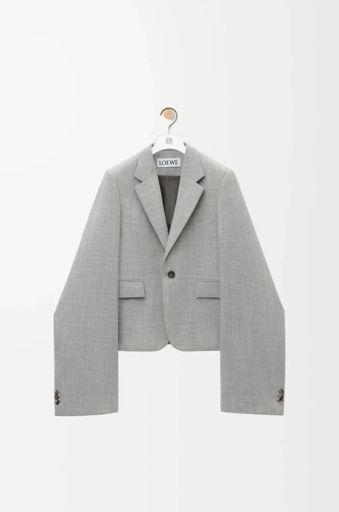 Chaqueta de lana gris Chaqueta de lana gris