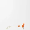 Gafas de sol Daisy Field Naranja