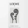LOEWE 7 Eau de Toilette 50 ml Incoloro