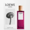 LOEWE Earth Eau de Parfum 50 ml Morado