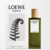 LOEWE Esencia Eau de Parfum 50 ml Incoloro