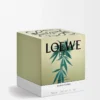 Vela grande con aroma a marihuana, verde oscuro