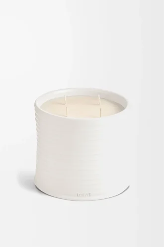 Vela grande de orégano blanco