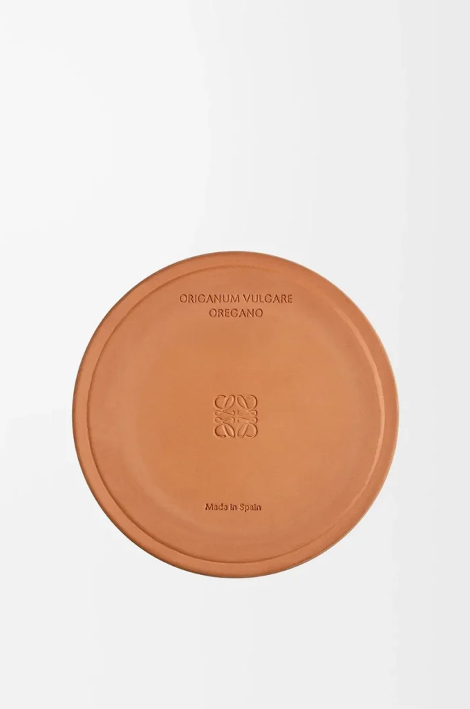 Vela grande de orégano blanco