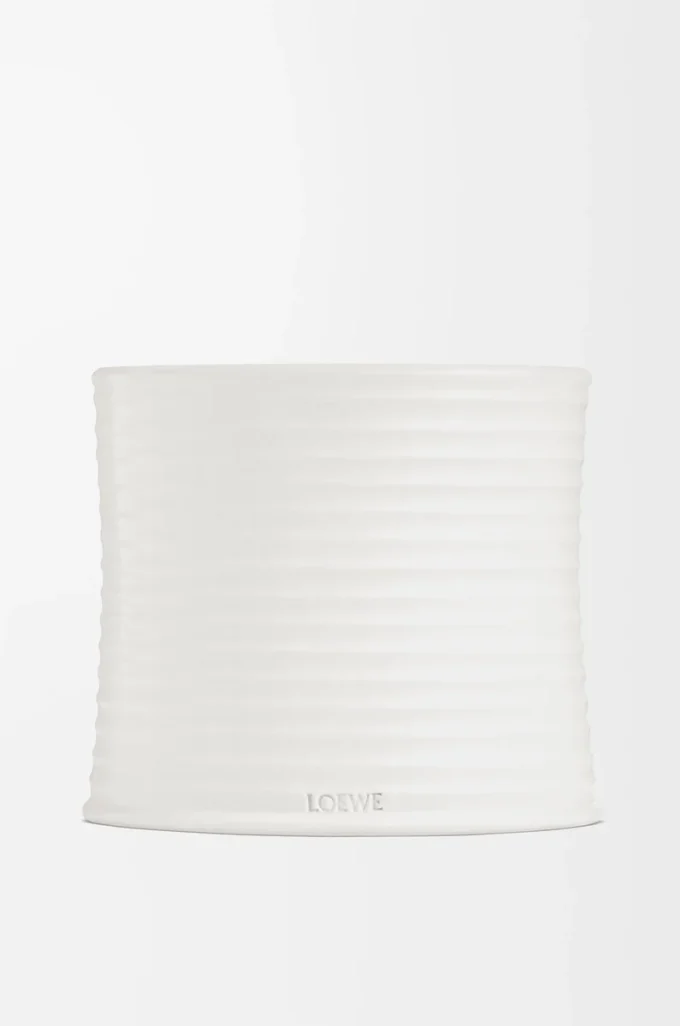 Vela grande de orégano blanco