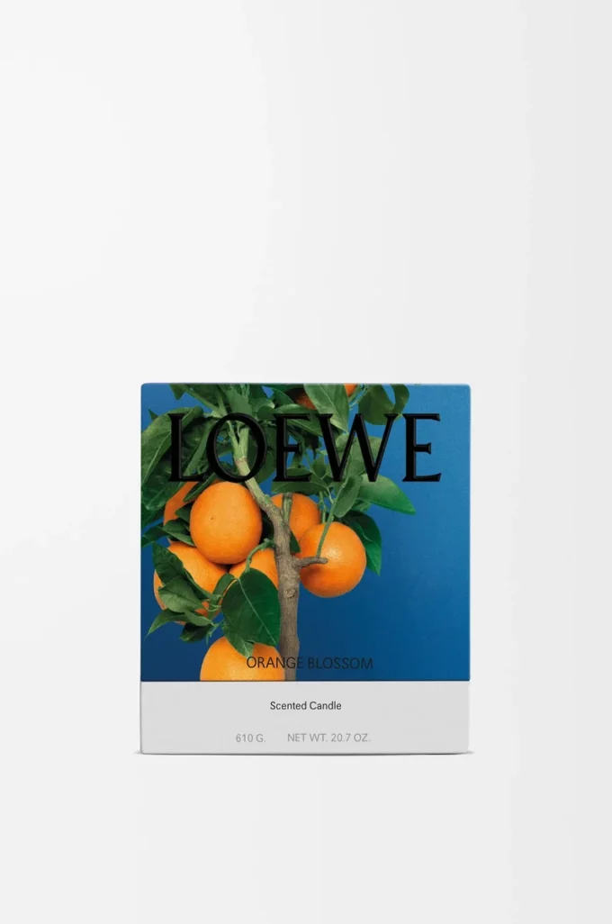 Vela mediana de azahar Mandarina brillante Vela mediana de azahar Mandarina brillante