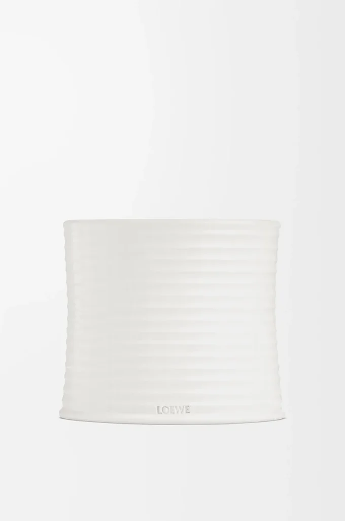 Vela mediana de orégano blanco Vela mediana de orégano blanco