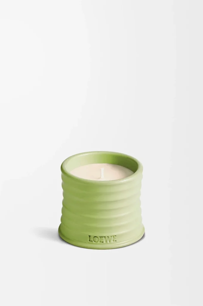 Vela pequeña de pepino verde claro Vela pequeña de pepino verde claro