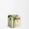 Vela perfumada de orquídea negra Vela perfumada de orquídea negra