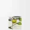 Vela perfumada Midi Earl Grey Oro