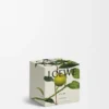 Vela perfumada Midi Earl Grey Oro
